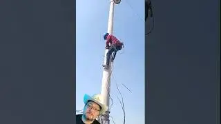 Без когтей!? Как!? 