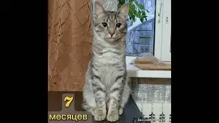 Днюха у Тимохи 