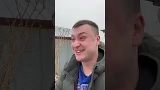 Вайн / Свет / Grey Ship