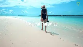Life Music Studio -Tropical Paradise
