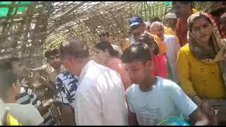 NIDHI VAN, VRIDAVAN.