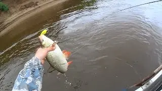 Какое лето, такая и рыбалка.