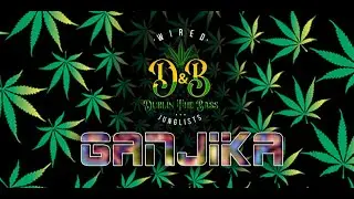 Ganjika - Busta Gunshot (Busta Rhymes - Touch It : Krucial - Gunshot)