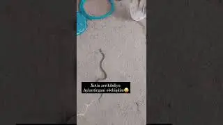 хазил проста так 😁😁😁