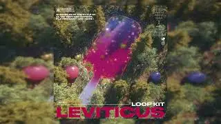 [FREE] Loop Kit/Sample Pack 