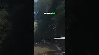 Evin Yapım Aşaması  İhtiyacımızdan Fazlasını Alırken Ponteinlerle Dans Et