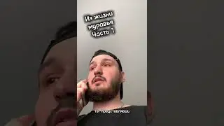 Из жизни муравья #рекомендации