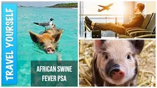African Swine Fever in Canada PSA