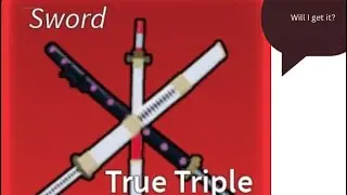 TTK?! (ROBLOX blox fruits)