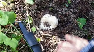 Тихая охота в Ак-Тюзе с Клуб Путешественников Gde.kg
