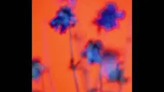 [FREE] Isaiah Rashad x Mick Jenkins x J Cole Type Beat 
