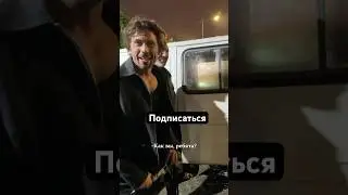 Ну что ты за сладость , Зимородок #shortvideo #shortsvideo #шорты #shorts #short #viral #shortsviral