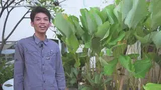Workshop PPKSDM Kursus dan Pelatihan Bidang Pijat Refleksi