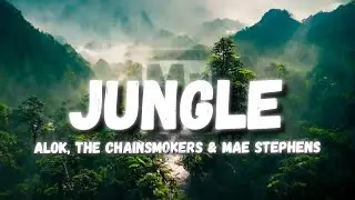Alok, The Chainsmokers & Mae Stephens - Jungle (Lyrics)