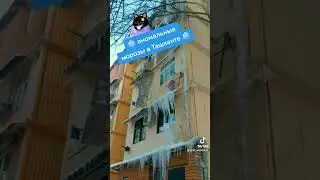аномальные морозы  в Ташкенте #2023 #ташкент #снегопад #морозы