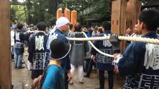 浅間神社のぼり祭り- Nobori Matsuri