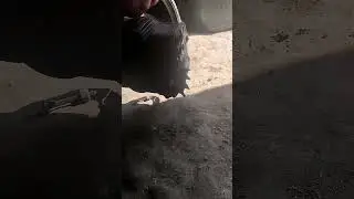 Осмотр бензопилы подготовка к сезону 💥