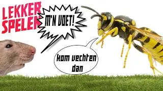 Lekker Spelen - Gestoken door een Wesp