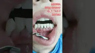 29 июня 2024 г.