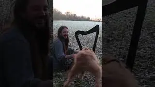 A Wild Doge Appears! (and is not too keen on my harp 😂)