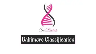 Baltimore Classification