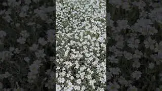 12 мая 2024 г.