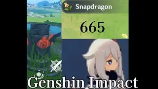 665 Vs Genshin Impact Showdown!