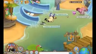 Animal Jam RARE ITEM Giveaway! (CLOSED)