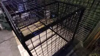 усиленная антивандальная клетка из арматурной решетки в жестком каркасе