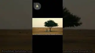 DÜNYADA BİR YABANCI YA DA YOLCU OLUN!