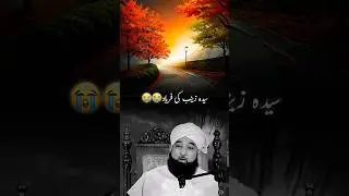 سیدہ زینب کی فریاد سن کر سب کی انکھیں نم ہو جائے #viral #duet #islamicvideo