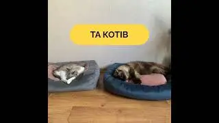 Лежанки для Собак і Котів Kmeshok