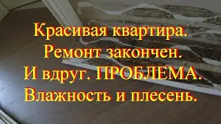 Влажность стен в красивой квартире