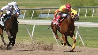 Remington Park Update - May 3, 2024