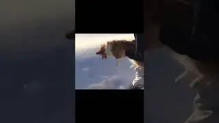 Follow please 🙏🙏🙏. #shorts #funnyvideos #funnypeoples #comedy #funnymoments #lol #memes