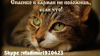 Смотреть Всем! Сказка про Буратино, Мишутку, Колобка и других персонажей интернет цирка