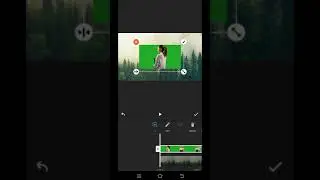 Green Screen Editing In Inshot | How To Use Chroma Key | Video Editing