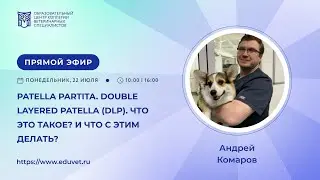 «Patella partita. Double layered patella. Что это такое? И что с этим делать?» — Андрей Комаров