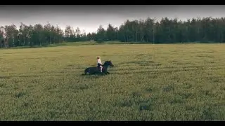 Karo Kleta - Fly Away