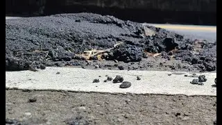 湖口後山 到 柯伯公 的路終於修好了