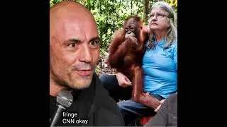 Joe Rogan's Misogynistic Tirade on Expert Primatologist