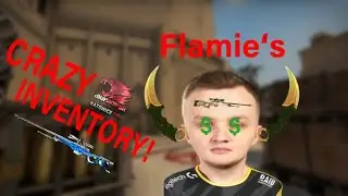 Navi Flamie's INSANE inventory - Pro inventories 2021