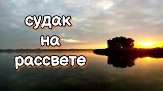 Ловля судака на джиг