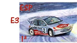 Colin McRae 4;Peugeot 206;ESP;E3;1ª