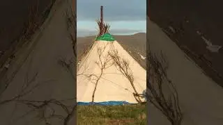 🤔 Как коренные народы севера борются с комарами 