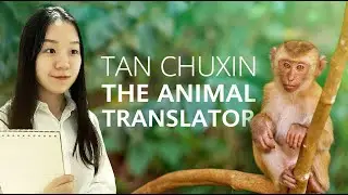 Tan Chuxin, The Animal Translator