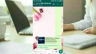 Essens регистрация на сайте. 2021