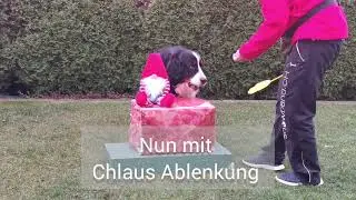 Üben für ein Weihnachtsfoto