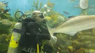 Feeding process in Aquatic Gallery @GujScienceCity