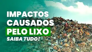 LIXO Saiba tudo sobre os impactos causados por ele!